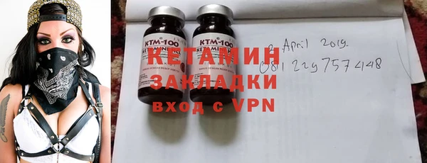 ПСИЛОЦИБИНОВЫЕ ГРИБЫ Осинники