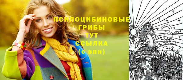 ПСИЛОЦИБИНОВЫЕ ГРИБЫ Осинники