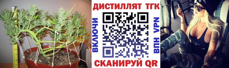 дарк нет Telegram Ветлуга ТГК жижа