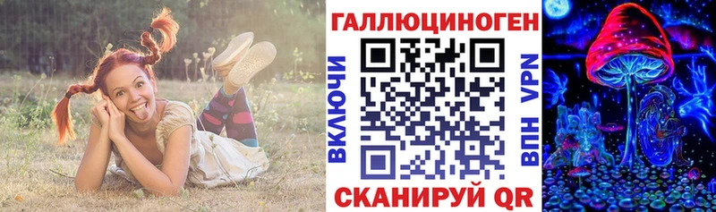 купить закладку  Ветлуга  даркнет официальный сайт  Псилоцибиновые грибы мухоморы 