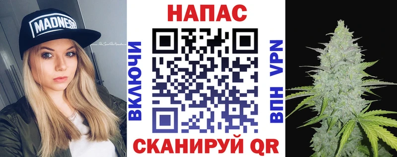 Канабис планчик  Ветлуга 